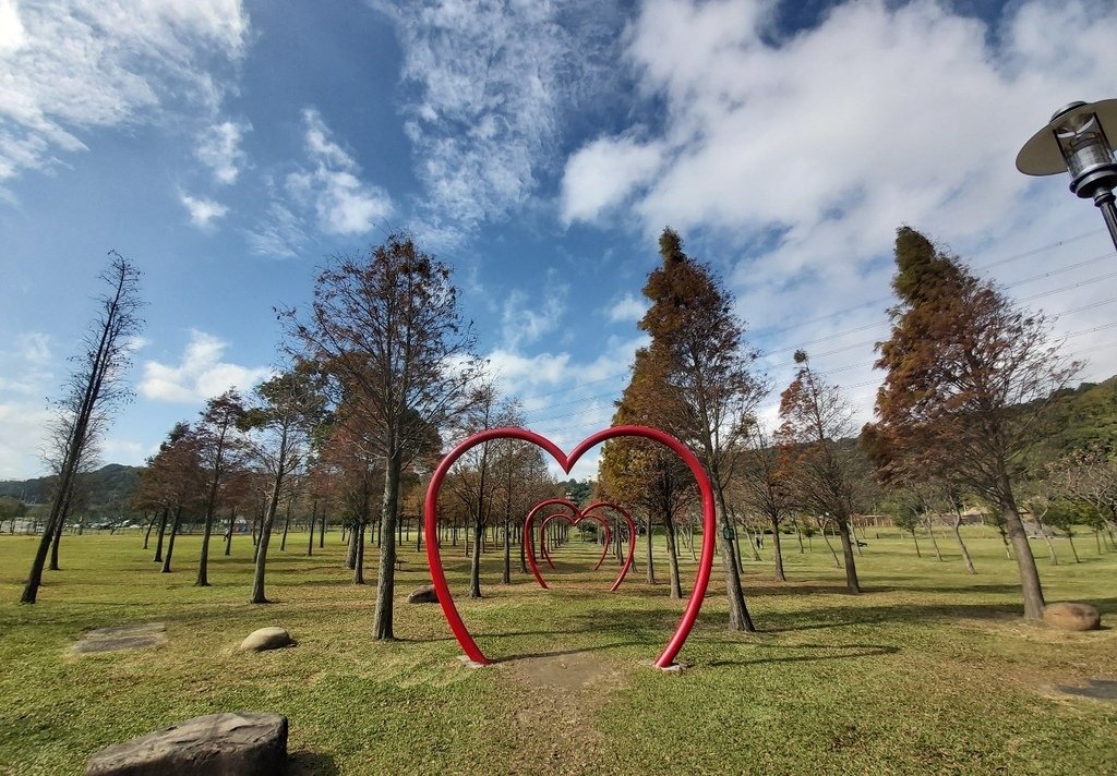 大溪河濱公園的落羽松與造景.jpg