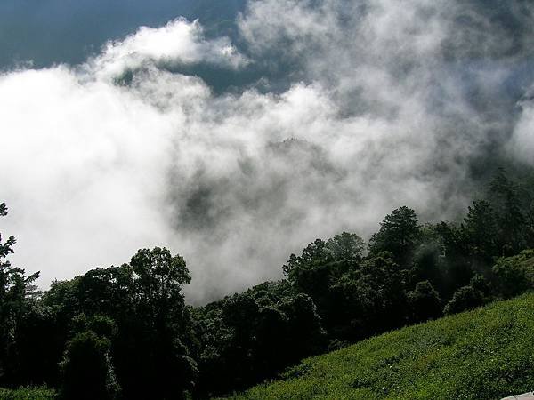 梨山的山巒