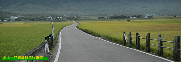 台東。池上，花東縱谷自行車道