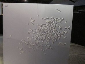 IMG_2214