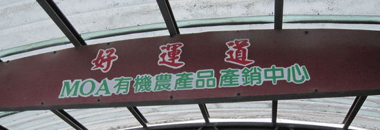 遊記 台東 好運道民宿