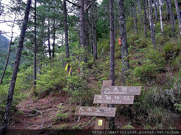 八通關山登山口.JPG