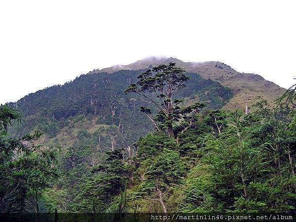 八通關反觀高途中仰望八通關前山.JPG