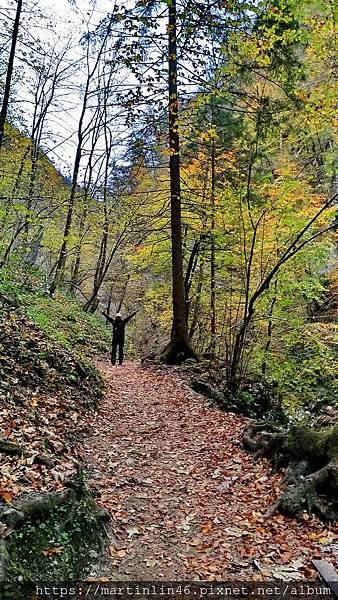 P_20181025_152314_vHDR_OnA.jpg