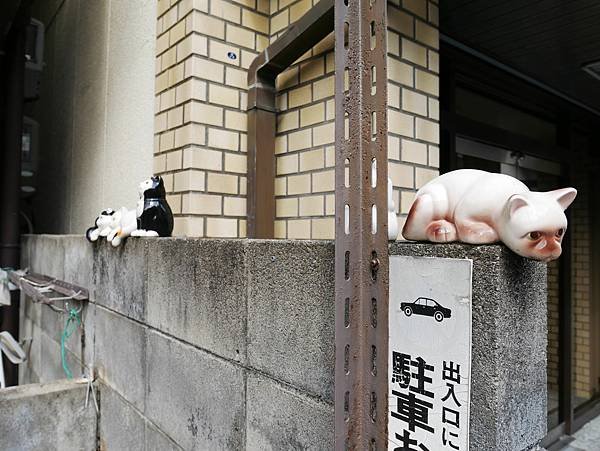 京都自由行 京都街道漫步