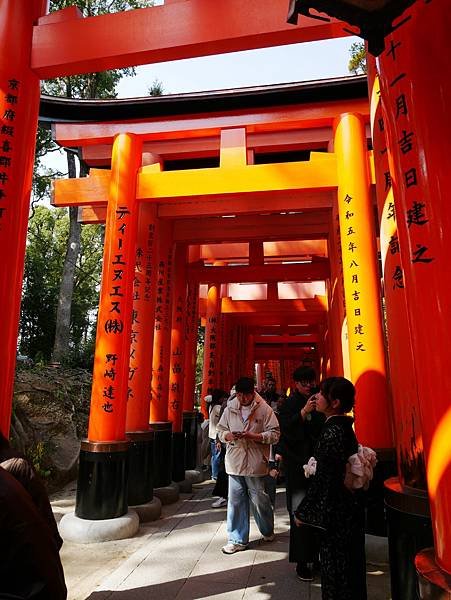 京都自由行 伏見稻荷大社千鳥居散步