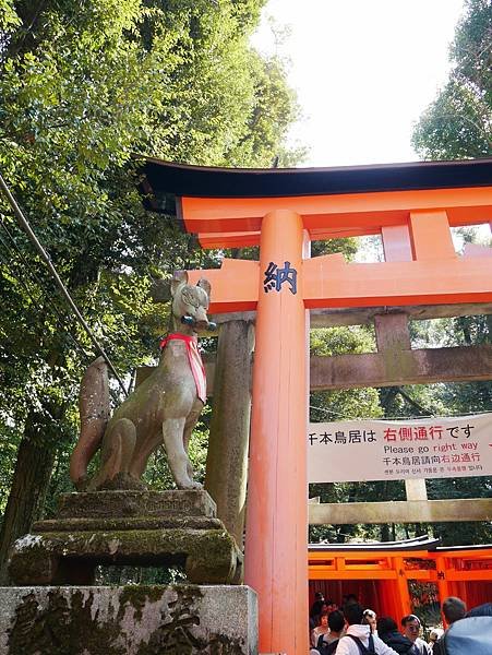 京都自由行 伏見稻荷大社千鳥居散步