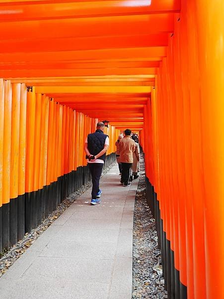 京都自由行 伏見稻荷大社千鳥居散步