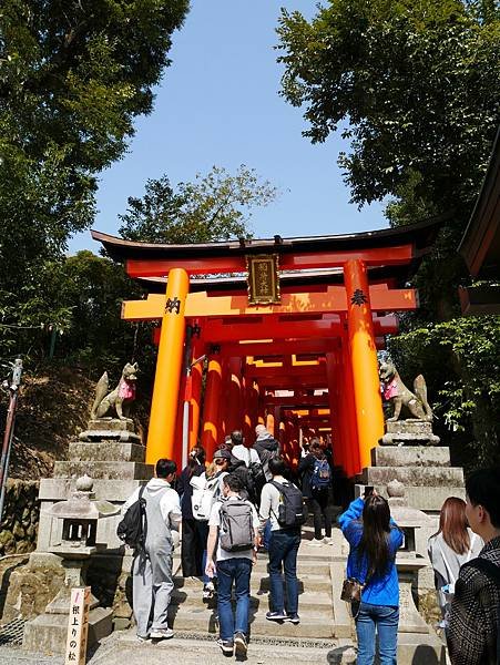 京都自由行 伏見稻荷大社千鳥居散步