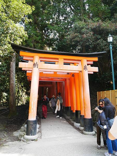 京都自由行 伏見稻荷大社千鳥居散步