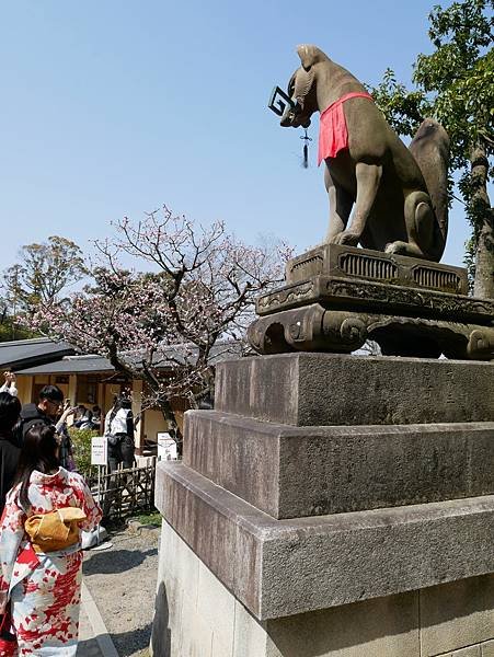 京都自由行 伏見稻荷大社千鳥居散步