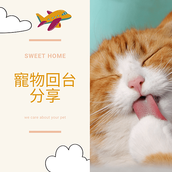回台分享.png