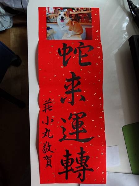 DSC02436 (960x1280)