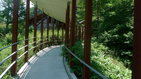 P1030079.JPG
