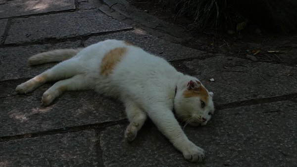 P1020789.JPG