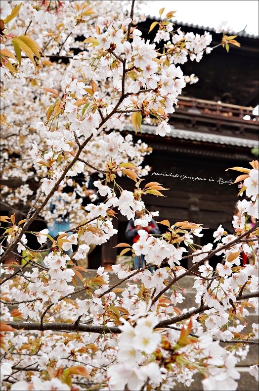 5南禪寺三門4
