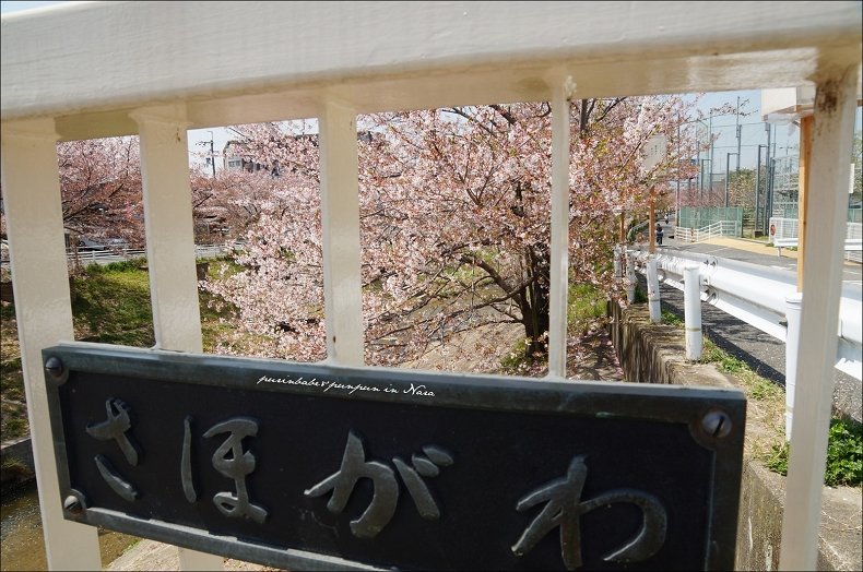 12學び橋2