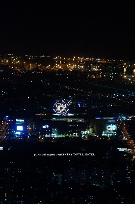 40觀景台夢時代夜景2