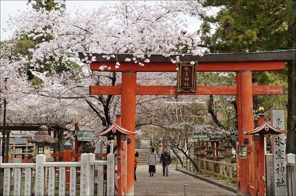 8冰室神社