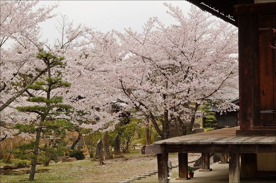 47東大寺勸學院2