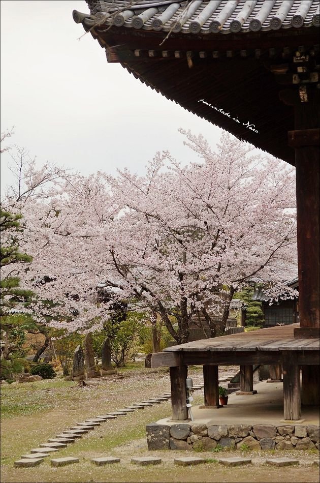 46東大寺勸學院1