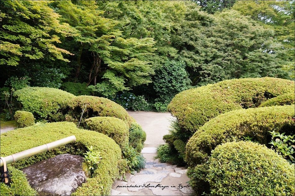 24百花塢5