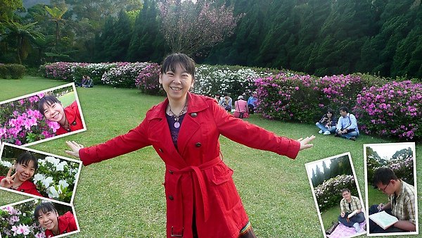 杜鵑茶花園