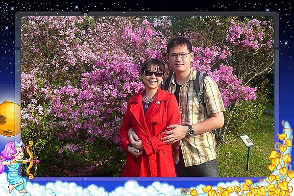 杜鵑花盛開的季節