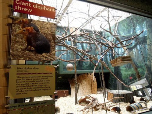 28.再度遊美東～費城動物園 1