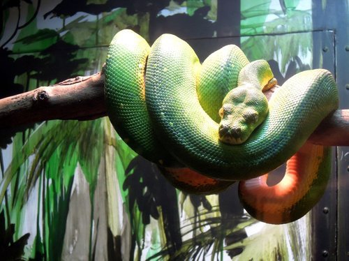 28.再度遊美東～費城動物園 1