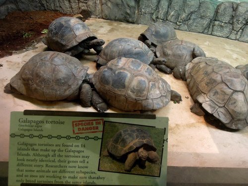 28.再度遊美東～費城動物園 1