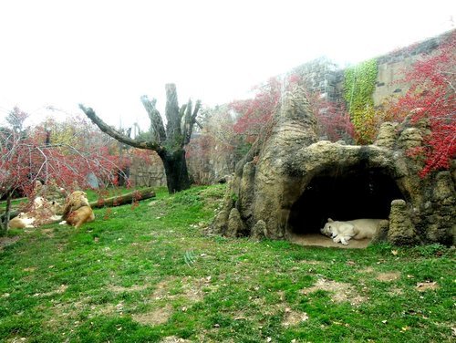 28.再度遊美東～費城動物園 1