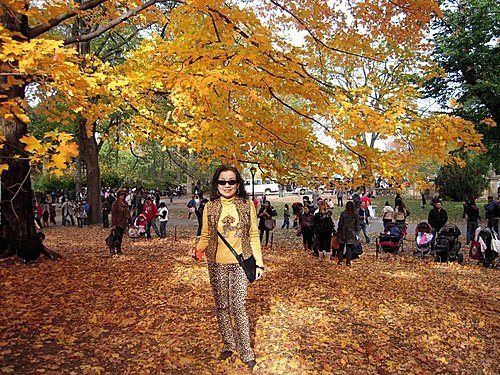 6.美東探親訪友～中央車站、中央公園、洛克斐勒中心頂樓觀夜景