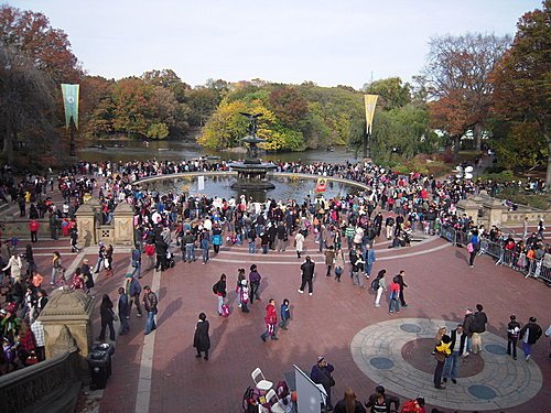 6.美東探親訪友～中央車站、中央公園、洛克斐勒中心頂樓觀夜景