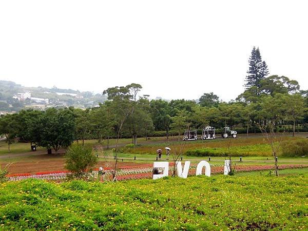 DSCN0596.JPG