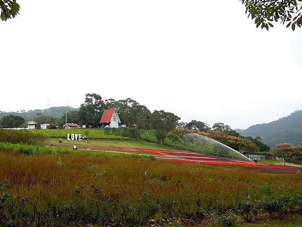DSCN0617.JPG