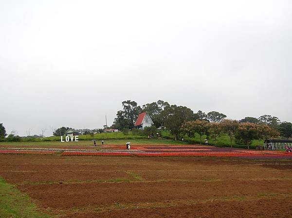 DSCN0651.JPG