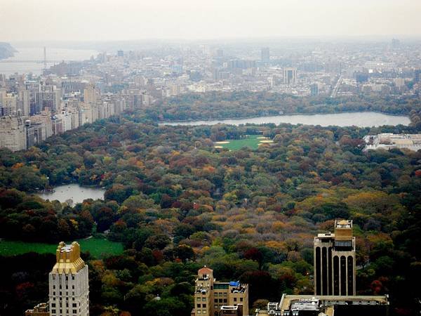 6.美東探親訪友～中央車站、中央公園、洛克斐勒中心頂樓觀夜景