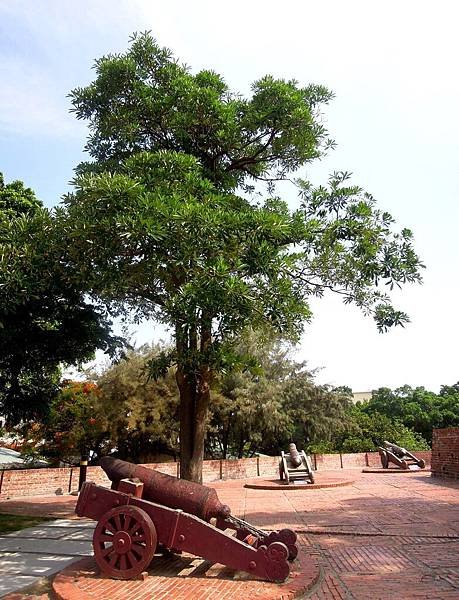 DSCN8789.JPG