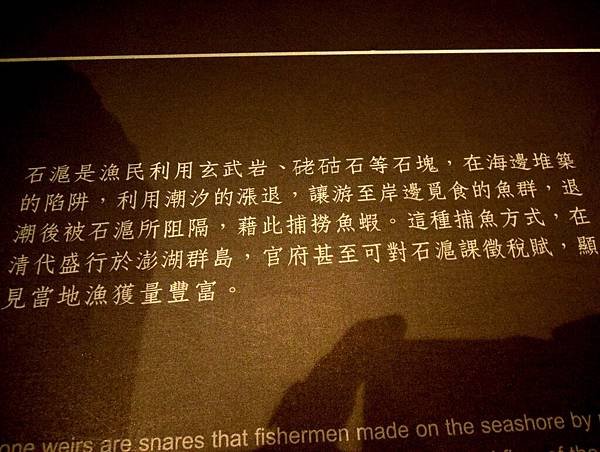 DSCN9033.JPG