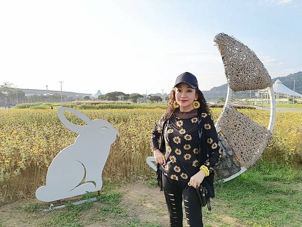 2022.11.28 大佳河濱公園～賞太陽花海