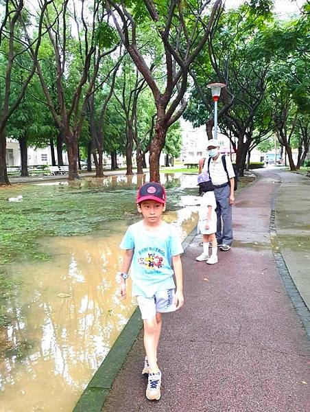 2023.8.17 陪孫漫遊雨後公園 🚶🚶‍♀️