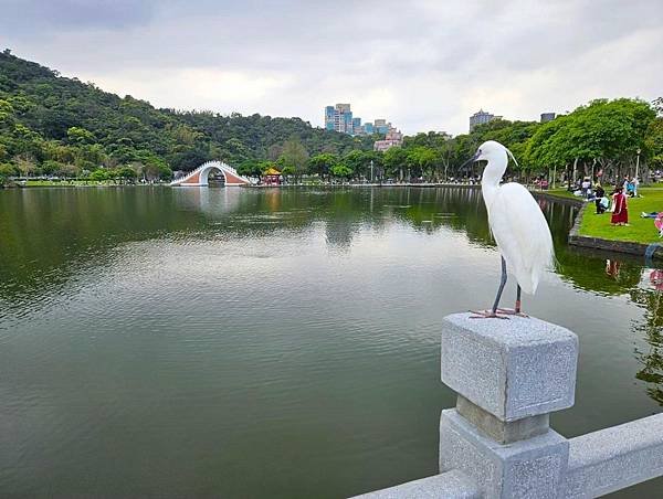 2024.3.24大湖公園🌊祖孫最愛 ❤ 野餐、丟飛盤、吹泡