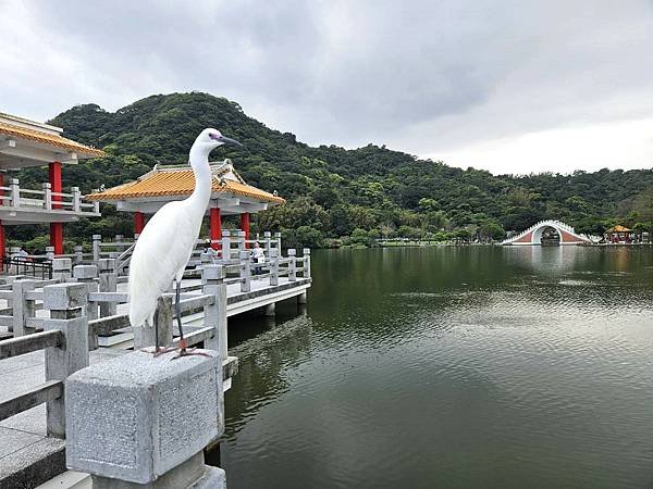 2024.3.24大湖公園🌊祖孫最愛 ❤ 野餐、丟飛盤、吹泡