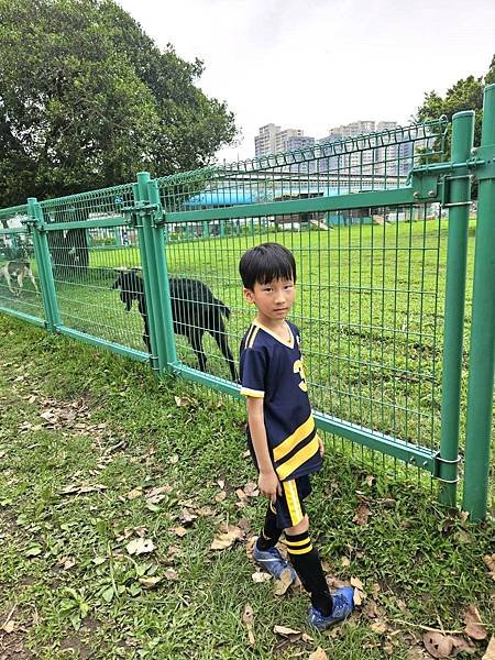 2024.4.13 板橋浮洲親民公園🌳 兒童足球場舉辦 ⚽️