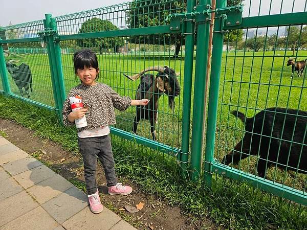 2024.4.13 板橋浮洲親民公園🌳 兒童足球場舉辦 ⚽️