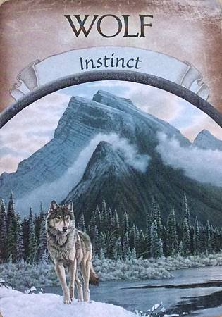 Wolf--Instinct.jpeg