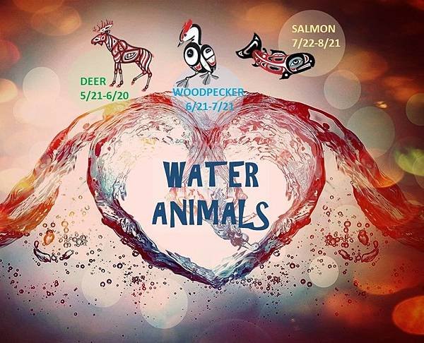 water animals.jpg