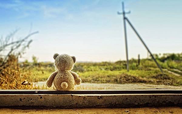 Teddy-bear-left-alone-feeling-lonely-sad-image-HD.jpg