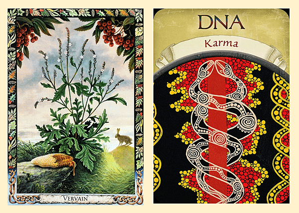 馬鞭草+DNA.png